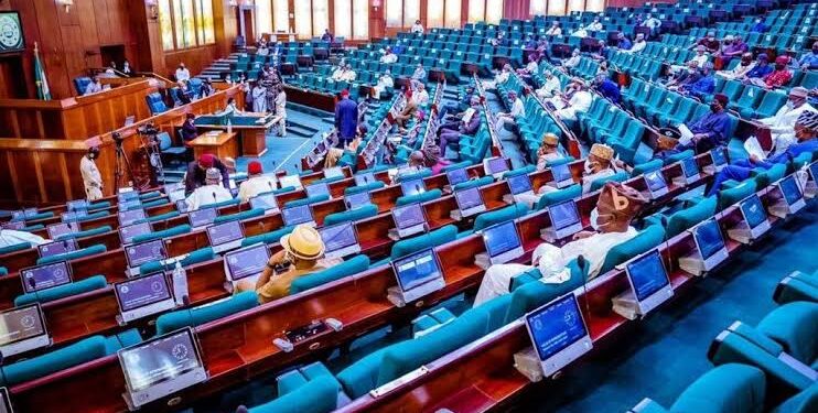 Missing NYSC Member: Reps Urge IGP, NYSC DG to find Emeka Okeke