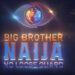 Big Brother Naija Season 9 Finale: Who Will Win the N100 Million?