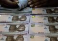 International Finance Corporation, Central Bank of Nigeria Partner to Boost Local Currency Financing