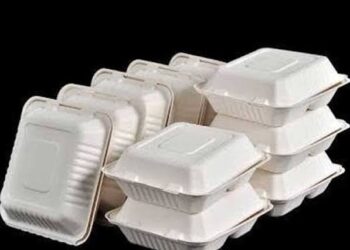 Lagos Pledges to Enforce Styrofoam and Plastics Ban