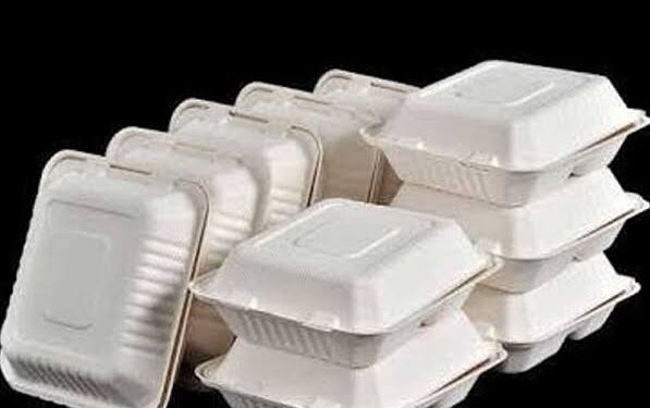Lagos Pledges to Enforce Styrofoam and Plastics Ban
