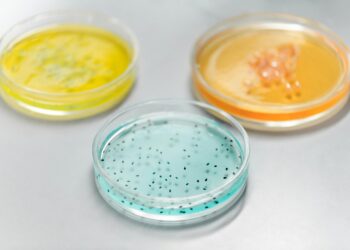 Legionnaires’ Disease Lurks in Cruise Ship Hot Tubs