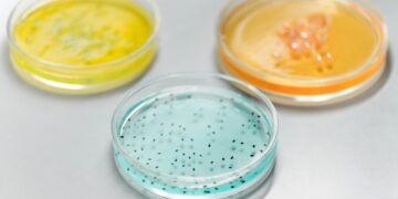 Legionnaires’ Disease Lurks in Cruise Ship Hot Tubs