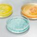 Legionnaires’ Disease Lurks in Cruise Ship Hot Tubs