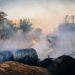 Mozambique: Police Clash with Protesters After Disputed Election