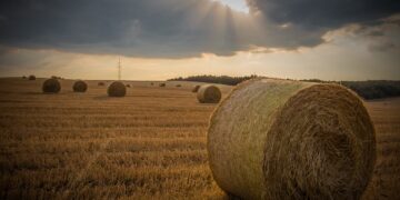 Nigeria’s Economic Reforms: A Leap of Faith or a Recipe for Disaster