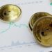Dogecoin Surges 93.7% in Seven Days as Trump Confirms Department of Govt. Efficiency