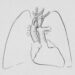Effective Treatment Methods for Acute Respiratory Distress Syndrome (ARDS)