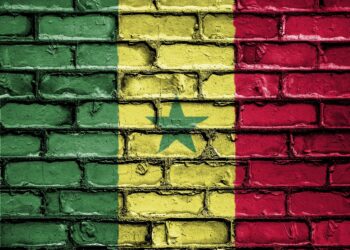 Sall Slams Sonko’s Administration as ‘Catastrophic’ Ahead of Senegal Elections