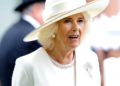 Queen Camilla Cancels Palace Engagements Due to this Illness