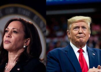 The US Election Effect: What a Trump or Harris Win Means for Nigerian Markets