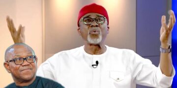 Abaribe Slams Tinubu’s Nepotism, Says Nigeria Would Be Better Under Peter Obi