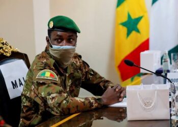 Mali Junta Ousts PM Over Election Criticism
