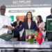 Nigeria, Morocco, ECOWAS Advance Talks on $26 Billion African Gas Pipeline Project