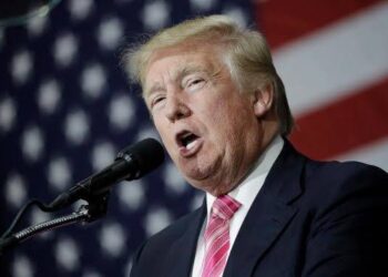 Trump’s Hush Money Conviction Hangs in Balance as Judge Weighs Presidential Immunity