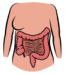Diverticulitis: Process, Symptoms, Causes, and Complications