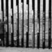 Trump Pledges a “Powerful” Border as Top Priority in Office