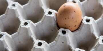 Nigerians Don’t Have Money for Chicken, They’ll Eat Egg This Christmas