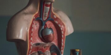 Fatty Liver Disease: Types, Symptoms, and Risk Factors