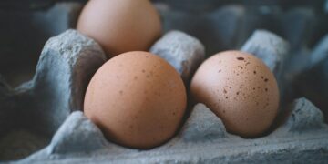 Kirkland Signature Eggs Recalled as a Result of Salmonella Risk
