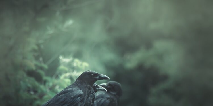 Tony Todd, Horror Icon and Star of Candyman, Dies Aged 69