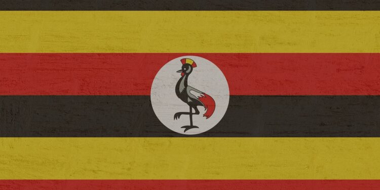 Ugandan Opposition Figure Allegedly Detained