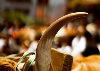 US Appeals Court Overturns New York’s Ivory Ban for Antiques Dealers