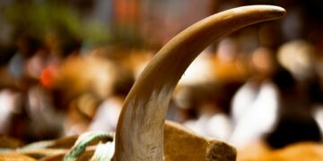 US Appeals Court Overturns New York’s Ivory Ban for Antiques Dealers