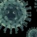 The Scientist Who Treated Her Cancer with Lab-Grown Viruses