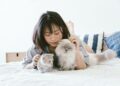 Harmattan and Pets: Top Tips to Caring for Your Furry Friends