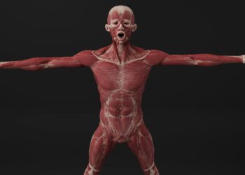 Bile Duct Obstruction: Causes, Types, and Symptoms