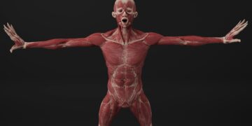 Bile Duct Obstruction: Causes, Types, and Symptoms