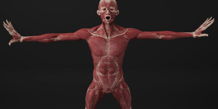 Bile Duct Obstruction: Causes, Types, and Symptoms