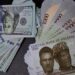 The Naira’s Resurgence: A Beacon of Hope or a Fleeting Mirage?