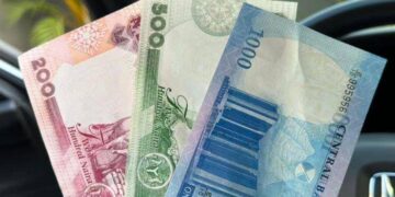 The Naira’s Resurgence: A Beacon of Hope or a Fleeting Mirage?