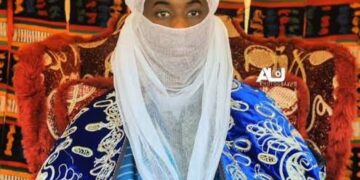 Kano Emir Breaks Silence on Palace Blockade Drama
