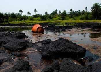 HYPREP’s Slow Pace Sparks Doubts in Ogoni Cleanup Promise
