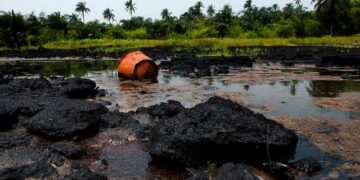 HYPREP’s Slow Pace Sparks Doubts in Ogoni Cleanup Promise