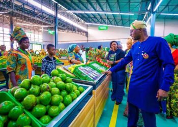 Lagos Agro-Hub records N2.495 Billion in First Year