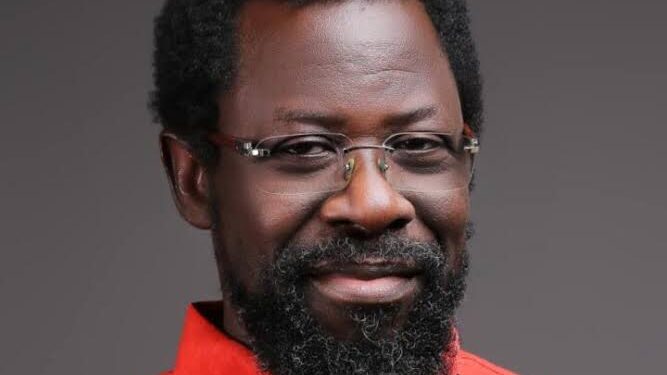 Dele Farotimi Granted ₦30M Bail Amid Controversial Defamation Case