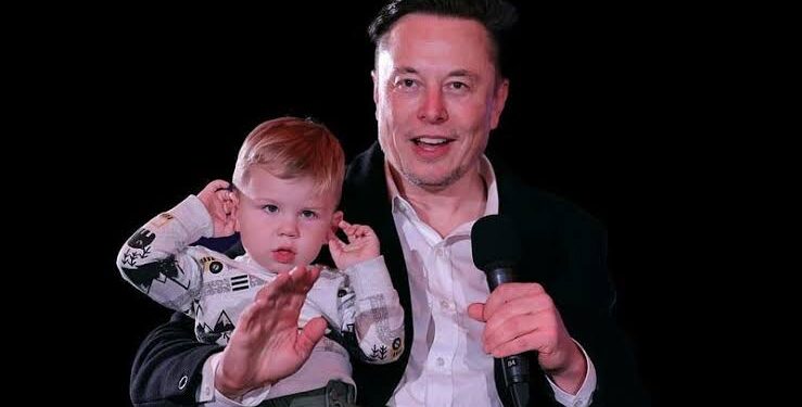 Baby Dogecoin Surges 75% Following Elon Musk’s Subtle Endorsement