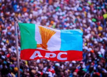 Legal Gray Areas Cloud Lagos APC’s Local Government Election Announcement