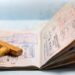 UK Exploits Nigeria’s Talent with 300,000 Visas – Who Really Benefits?