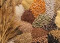 FG Secures Over $600 Million in Agricultural Loans to Enhance Food Security