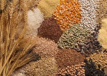 FG Secures Over $600 Million in Agricultural Loans to Enhance Food Security