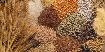 FG Secures Over $600 Million in Agricultural Loans to Enhance Food Security