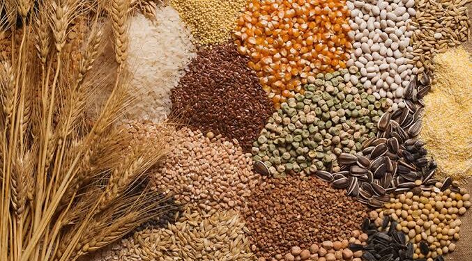 FG Secures Over $600 Million in Agricultural Loans to Enhance Food Security