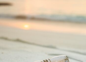 Global Plastic Treaty Stalls as Nations Clash Over Production Caps