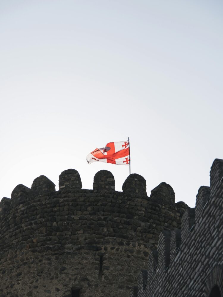 Georgian President Pleads for European Support Against Moscow’s Shadow