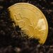 Bitcoin Reaches New Heights Above $106,000 Amid Market Speculation
